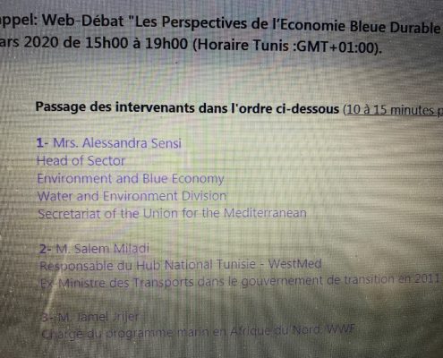 copie d'écran de l'agenda du web-débat du 29 mars