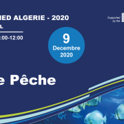 national-event-poster-website-Algerie-2020