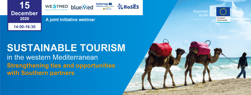 poster tourism webinar with camels on beach